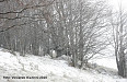 Tormenta in montagna